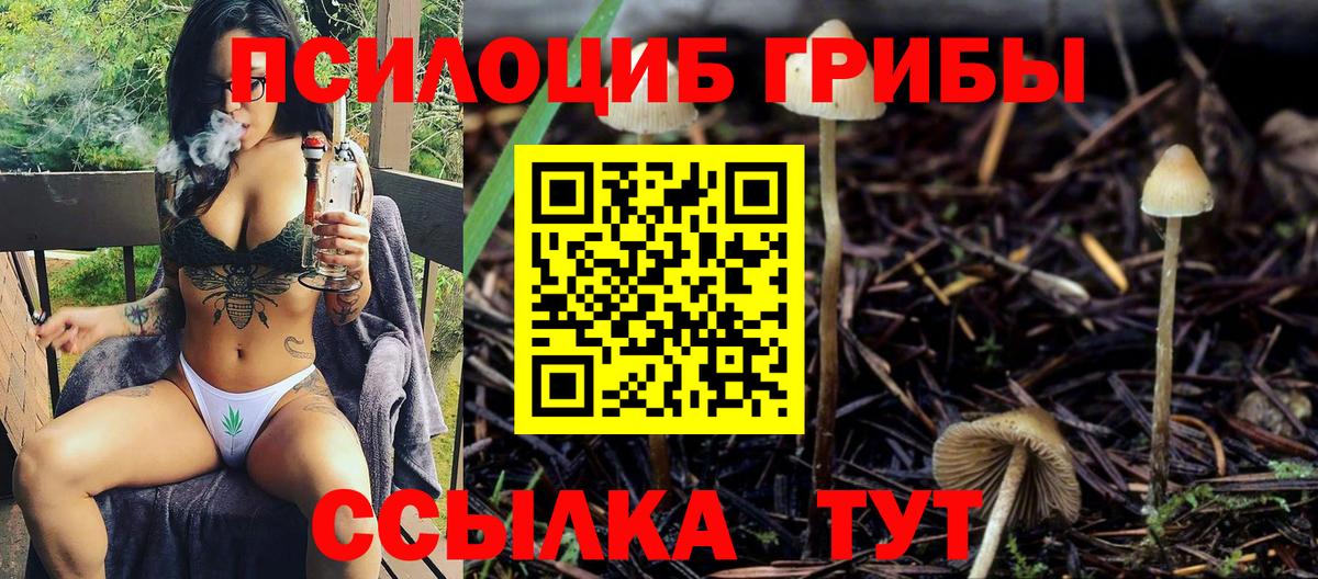 Псилоцибиновые грибы MAGIC MUSHROOMS  Вход с VPN  закладка  Ирбит  Псилоцибиновые грибы ЛСД 