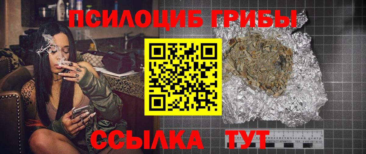 Галлюциногенные грибы Psilocybe Ирбит